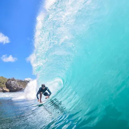 Toreblanca Lux * フエンヒロラ